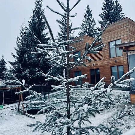 2towerscabin Lodge